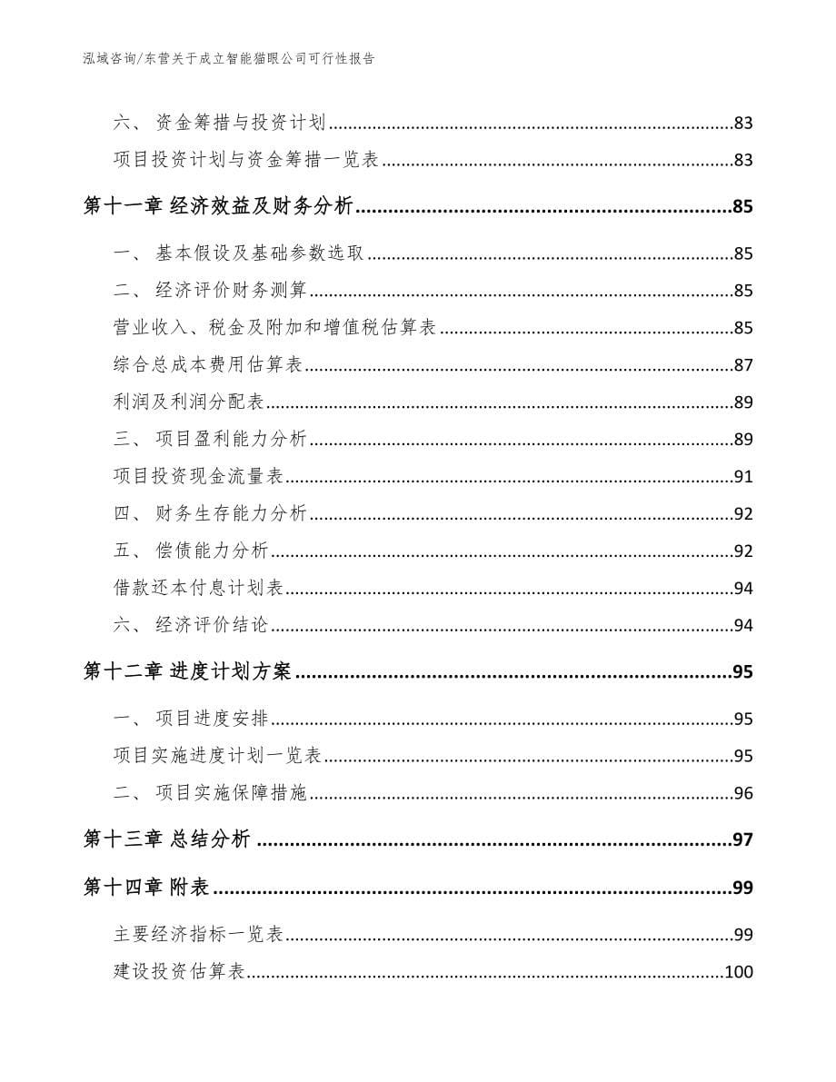 东营关于成立智能猫眼公司可行性报告_模板_第5页