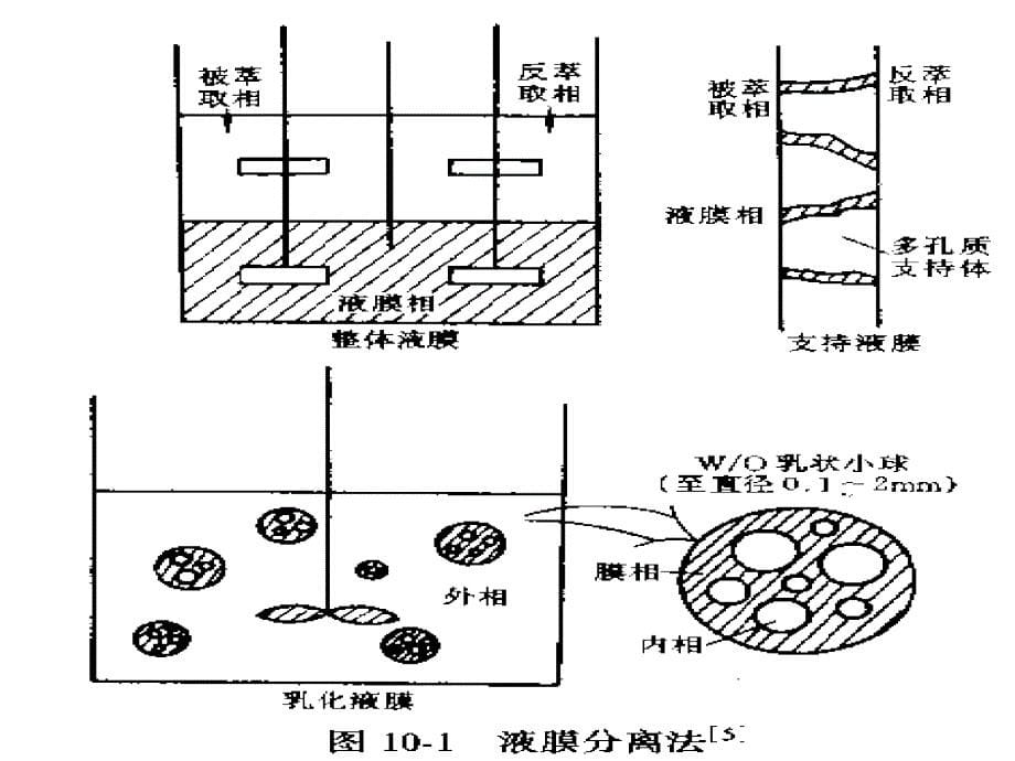 生物工业下游技术_第5页