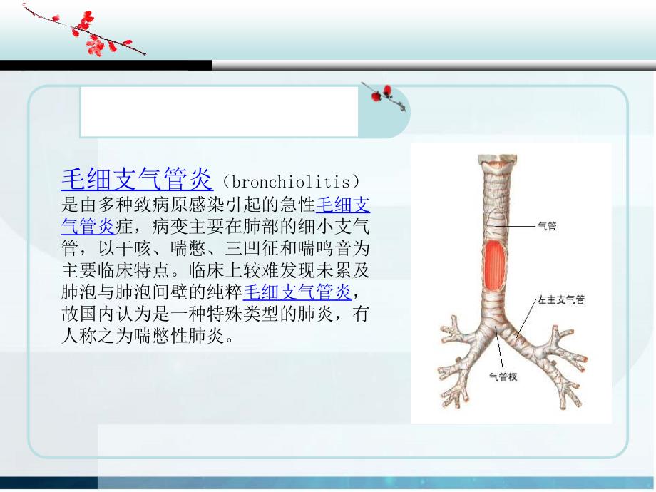 毛细支气管炎护理查房课件_第2页