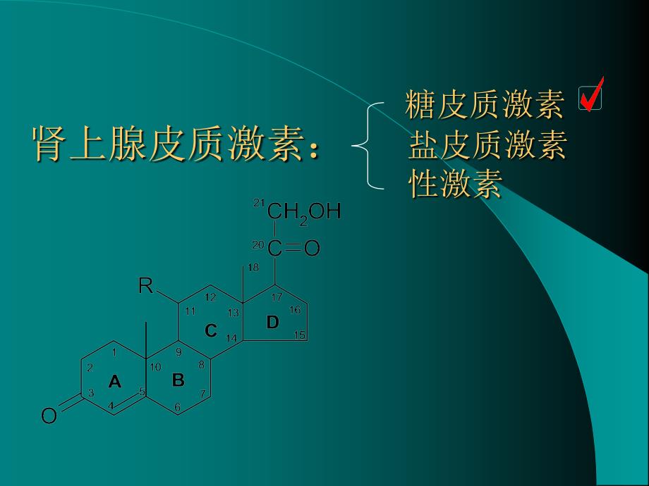 内分泌系统药理学肾上腺皮质激素类药物_第3页