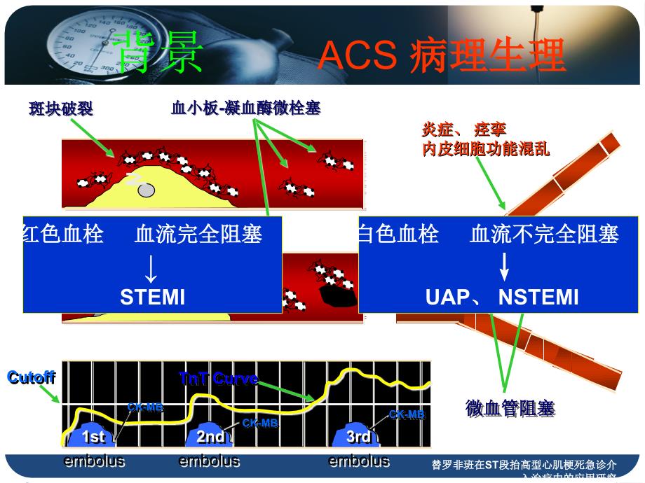 替罗非班在ST段抬高型心肌梗死急诊介入治疗中的应用研究课件_第3页