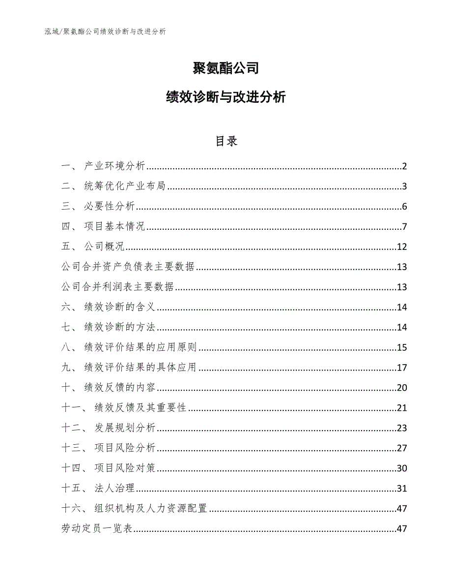 聚氨酯公司绩效诊断与改进分析（范文）_第1页