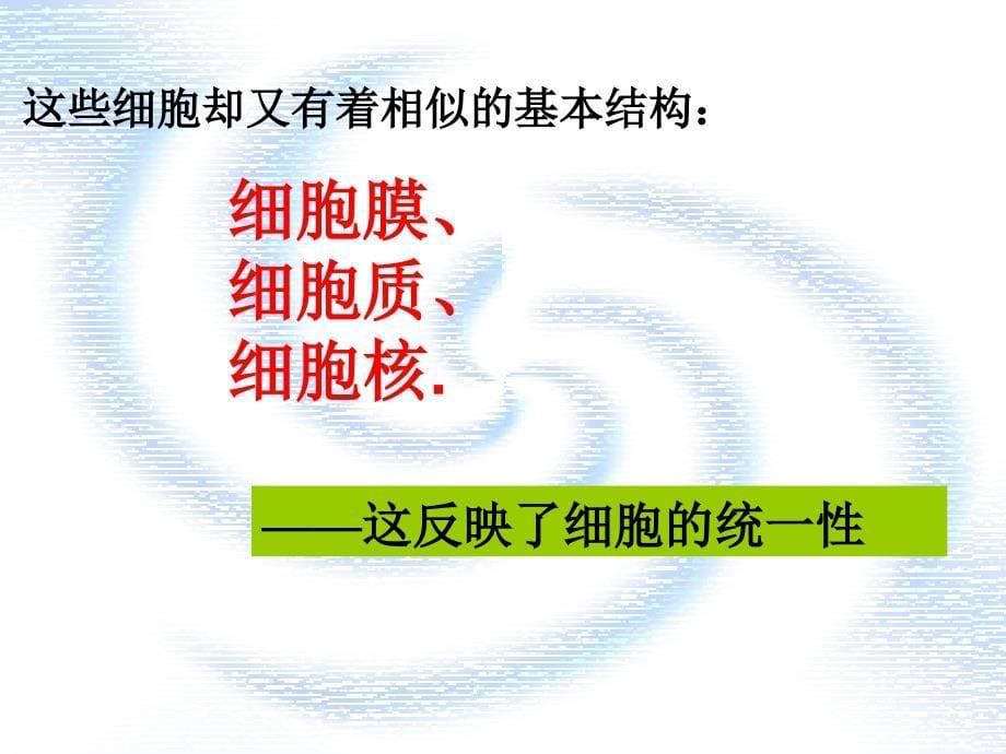 12细胞多样性和统一性_第5页