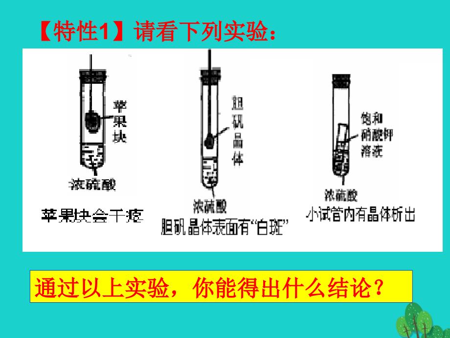 浙江省桐乡市高三化学 硫酸的性质和工业制法复习课件 新人教版_第3页