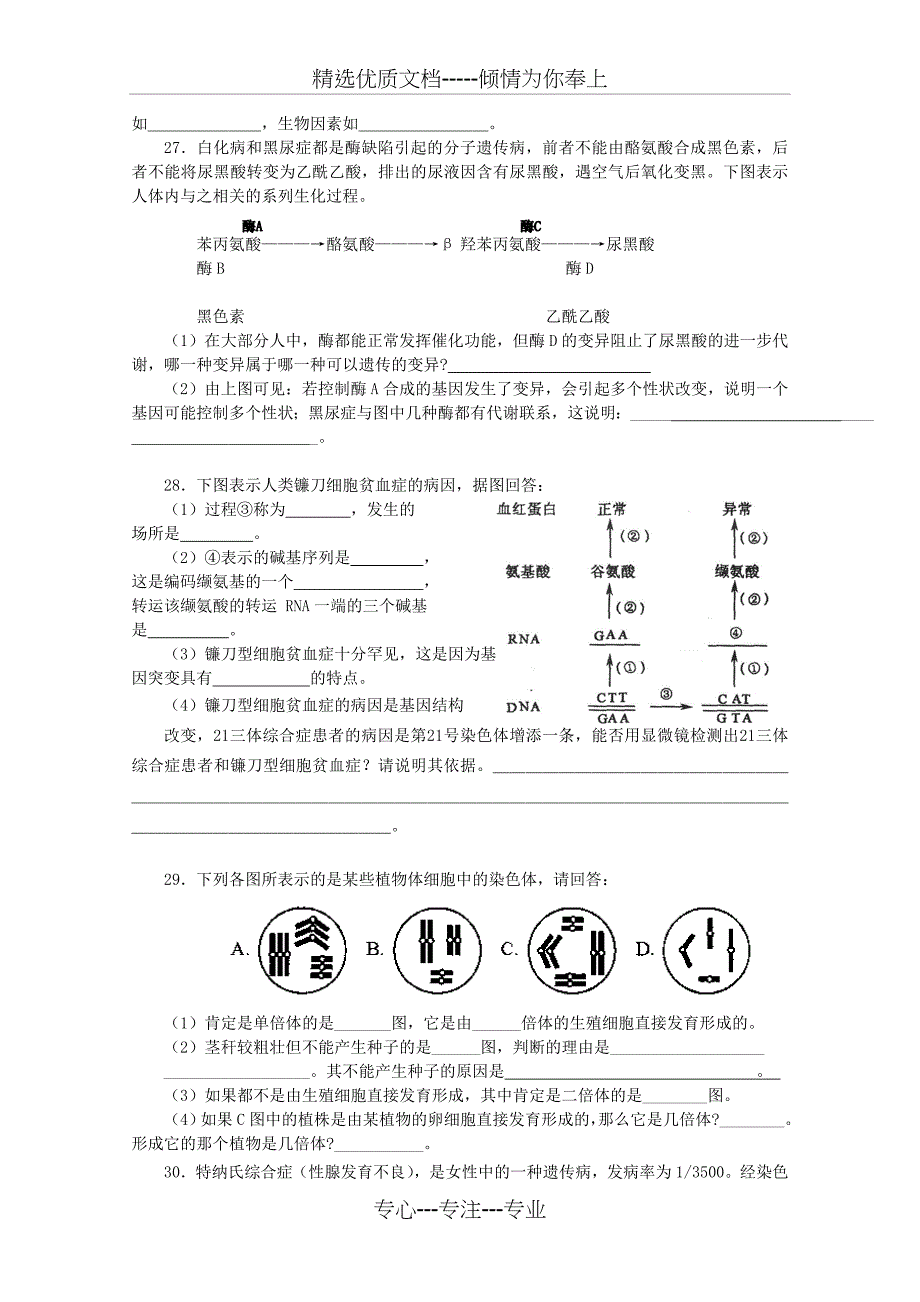 第5章《基因突变及其他变异》单元测试题_第4页