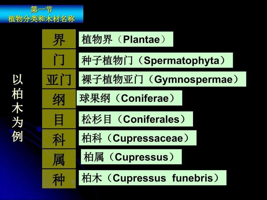 木材构造与识别_第5页