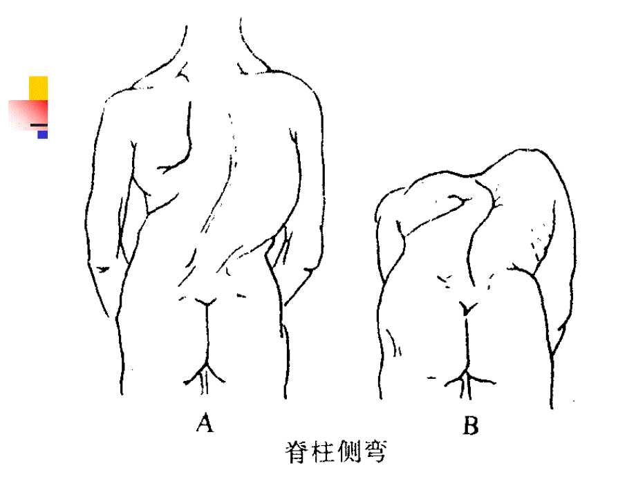 消化系统检查PPT课件_第4页