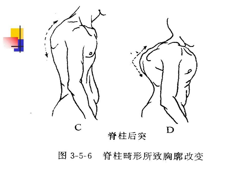 消化系统检查PPT课件_第5页