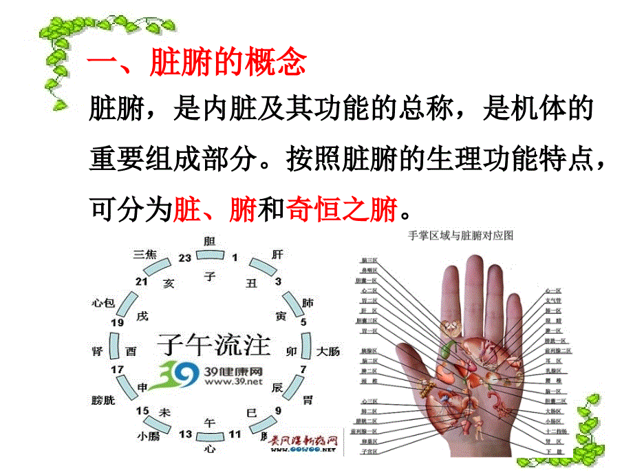 中医学导论三_第2页