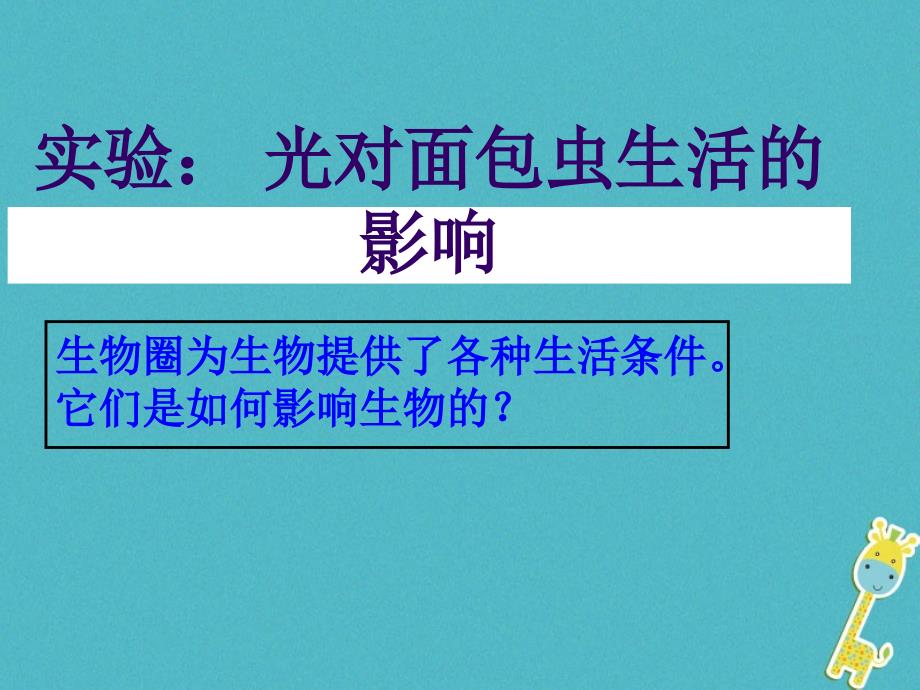 七年级生物上册 第一单元 第二章 生物圈是所有生物的家实验《光对面包虫生活的影响》 （新版）新人教版_第1页