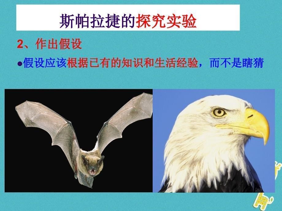 七年级生物上册 第一单元 第二章 生物圈是所有生物的家实验《光对面包虫生活的影响》 （新版）新人教版_第5页