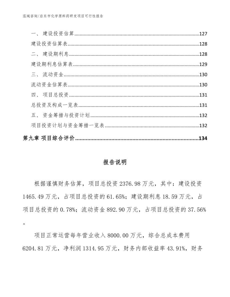启东市化学原料药研发项目可行性报告_参考模板_第5页