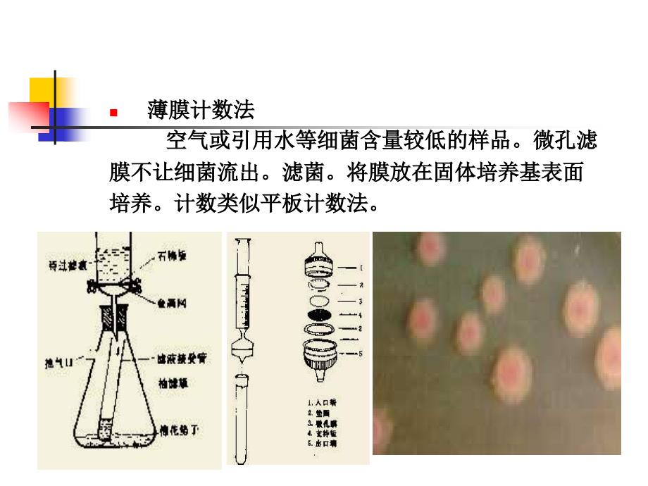 水处理生物学(第七讲)_第4页