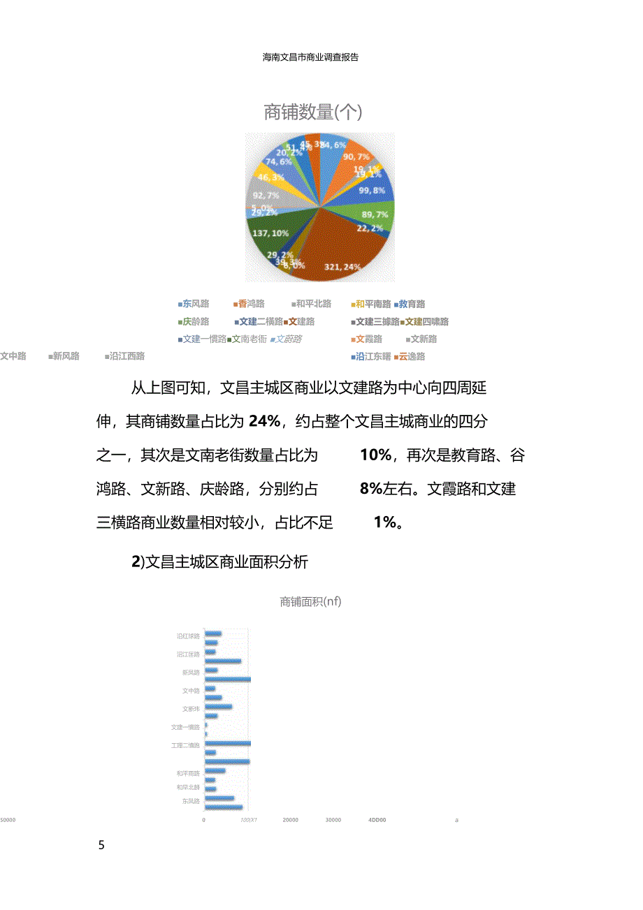 海南文昌商业调查报告130509整案NEW_第5页