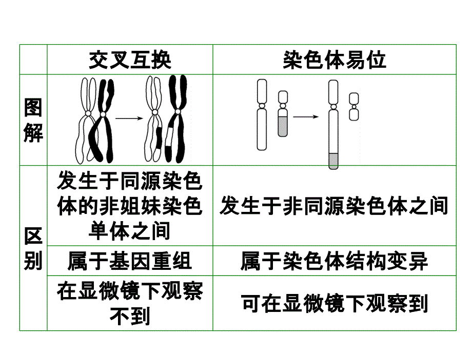 22染色体变异_第3页