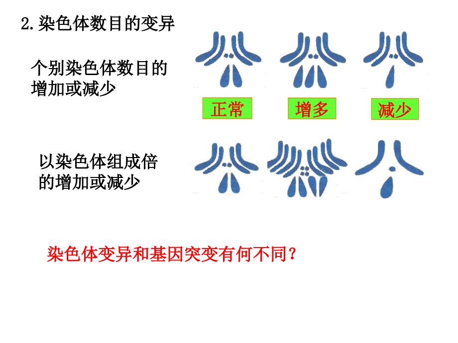 22染色体变异_第4页