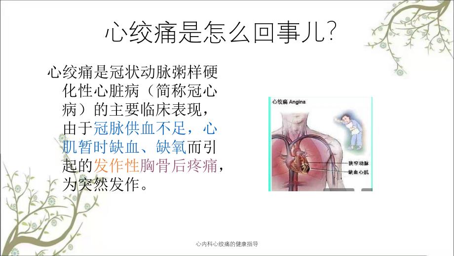 心内科心绞痛的健康指导_第2页