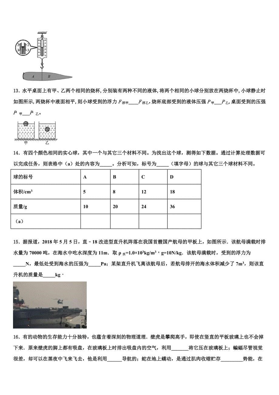 海南省临高县美台中学2021-2022学年中考二模物理试题含解析_第5页