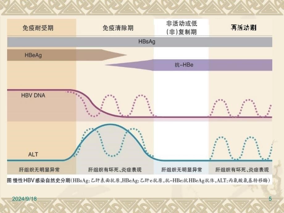 乙肝防治指南解读课件_第5页