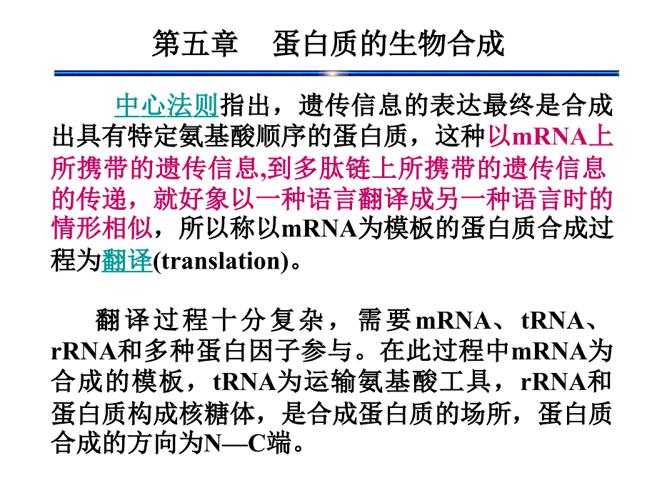 分子生物学讲座5——蛋白质的生物合成（翻译）_第1页