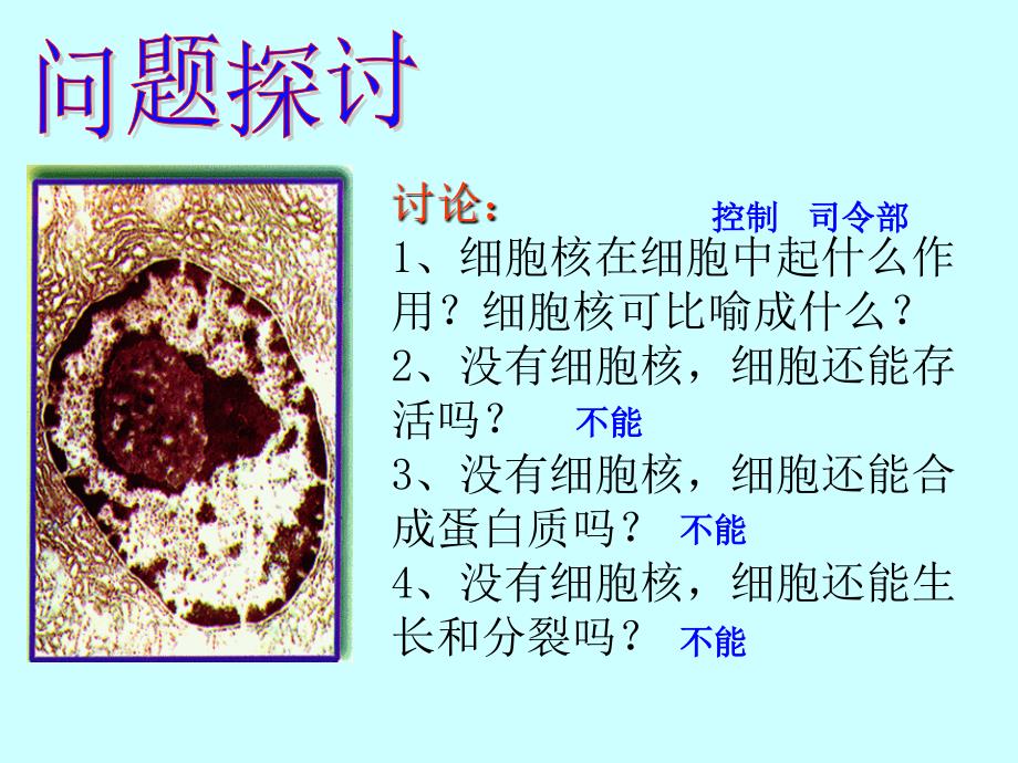 细胞核——系统的控制中心_第2页