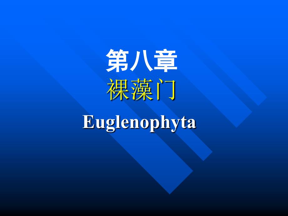 第八章裸藻门_第1页