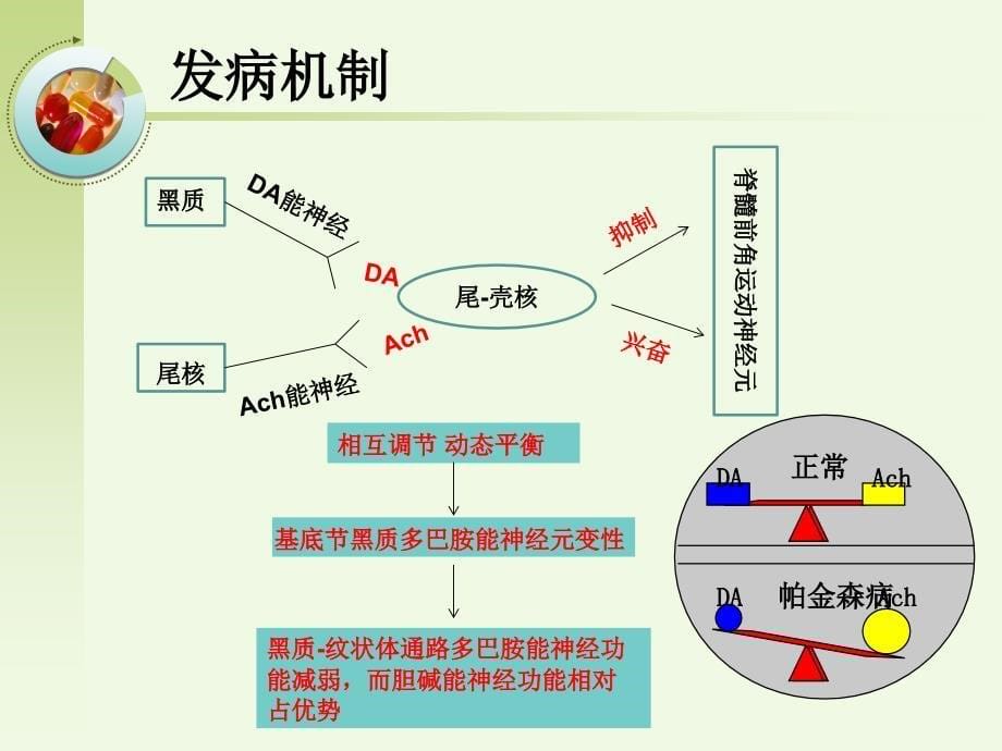 帕金森病及其药物治疗_第5页