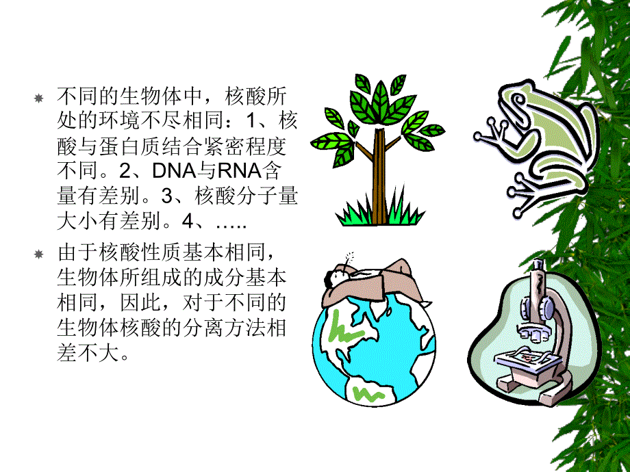 第一部分核酸的制备分离纯化_第4页