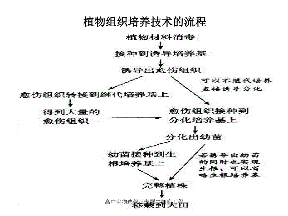 高中生物选修三专题二细胞工程课件_第1页