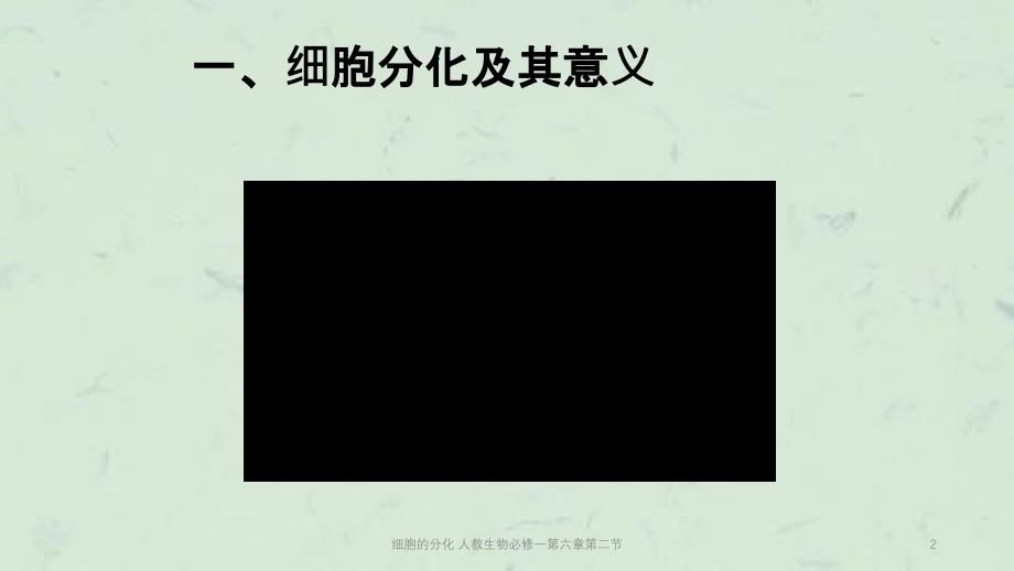 细胞的分化人教生物必修一第六章第二节课件_第2页