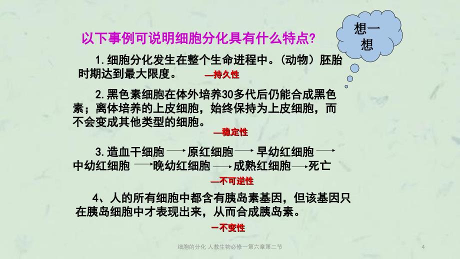 细胞的分化人教生物必修一第六章第二节课件_第4页