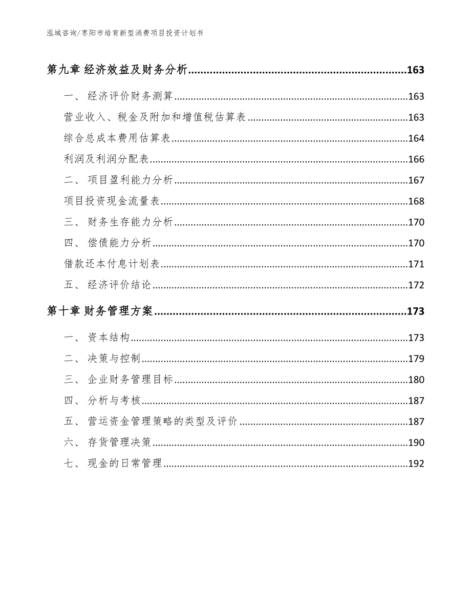 枣阳市培育新型消费项目投资计划书_第4页