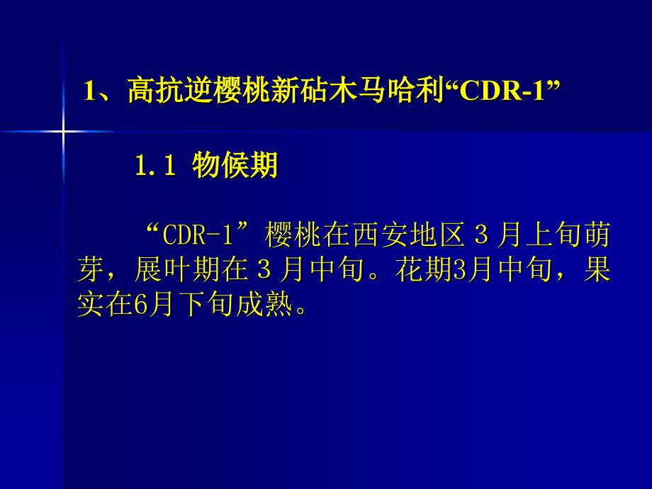 大樱桃配套关键栽培技术.ppt_第3页