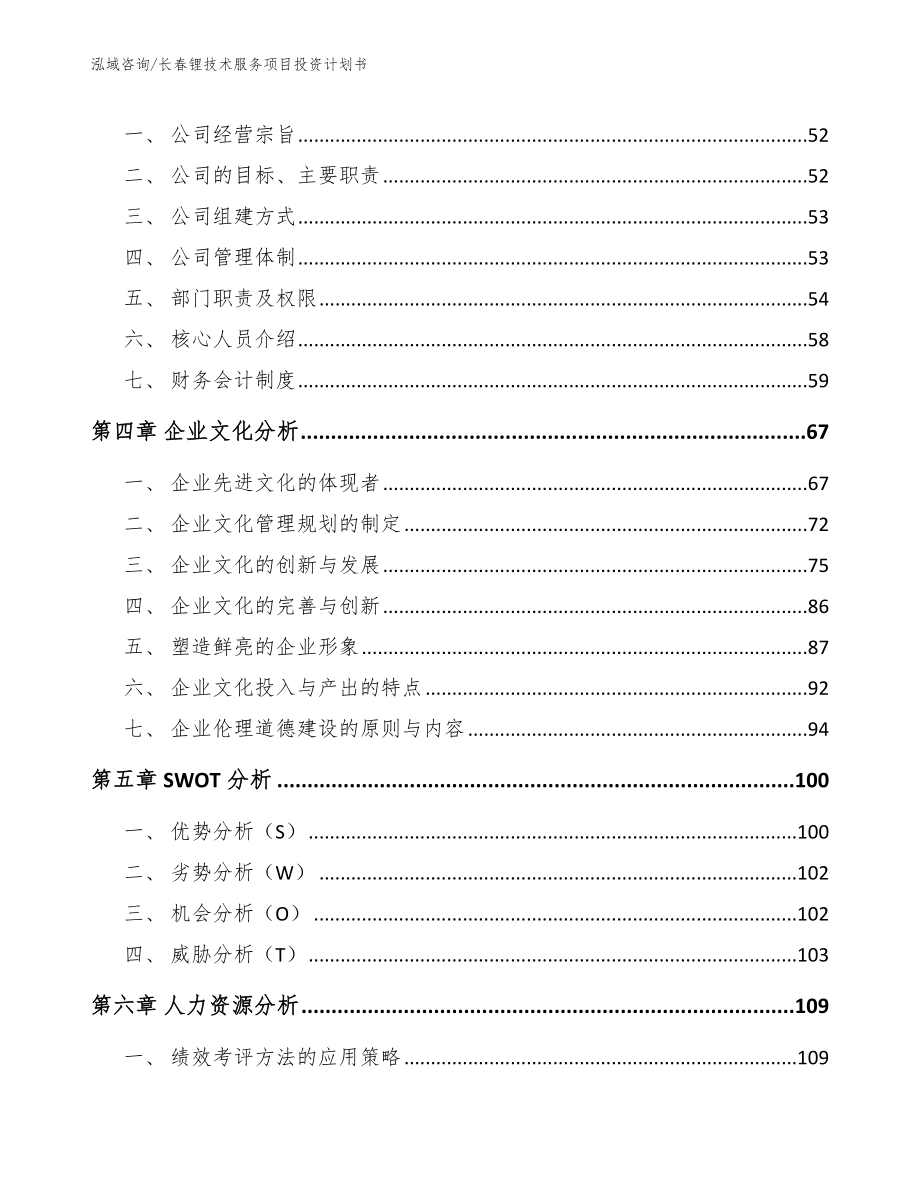 长春锂技术服务项目投资计划书_第4页