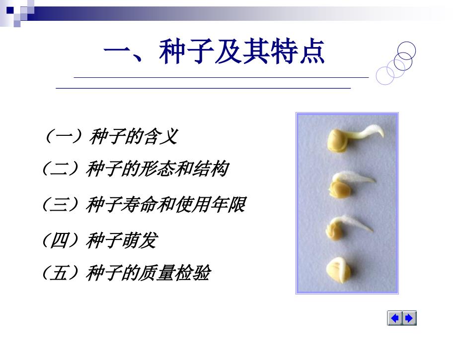 播种繁殖与培育PPT课件_第3页