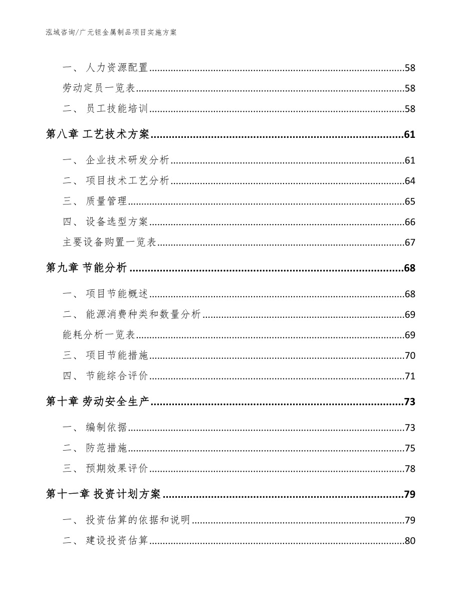 广元钽金属制品项目实施方案_模板范文_第3页