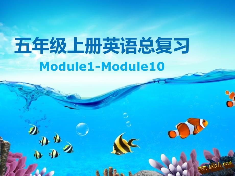 外研版五年级上册期末总复习_第1页