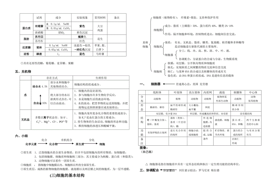 高中生物必修1知识网络_第3页
