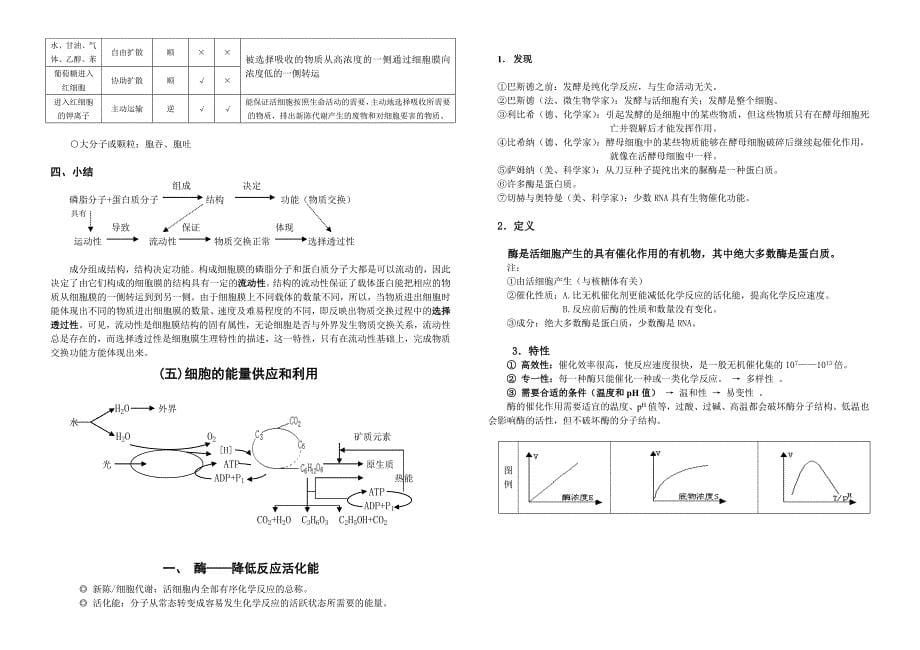 高中生物必修1知识网络_第5页