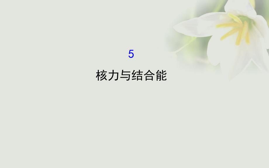 高中物理 第十九章 原子核 5 核力与结合能课件2 新人教版选修3-5_第1页