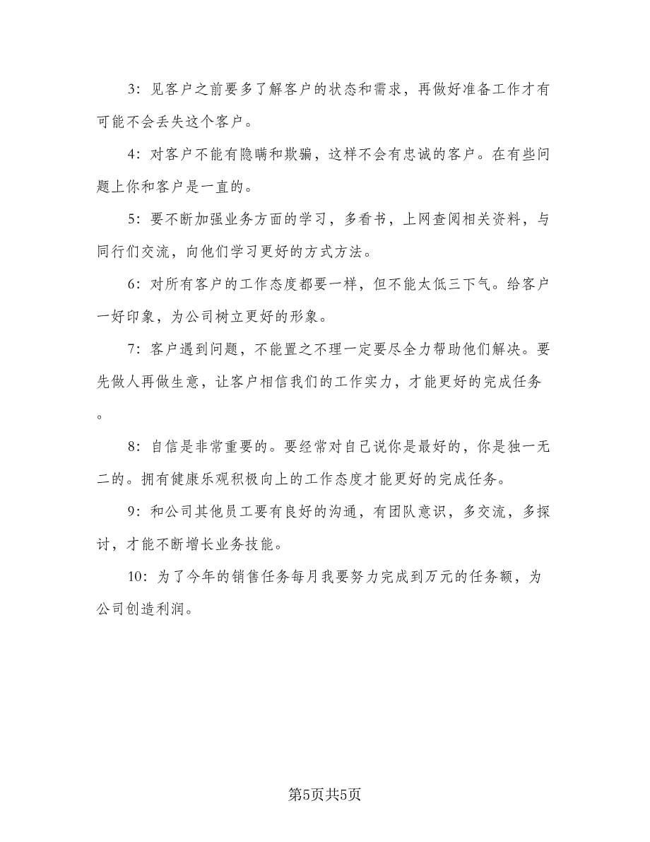 销售上半年工作总结及计划标准范文（二篇）.doc_第5页