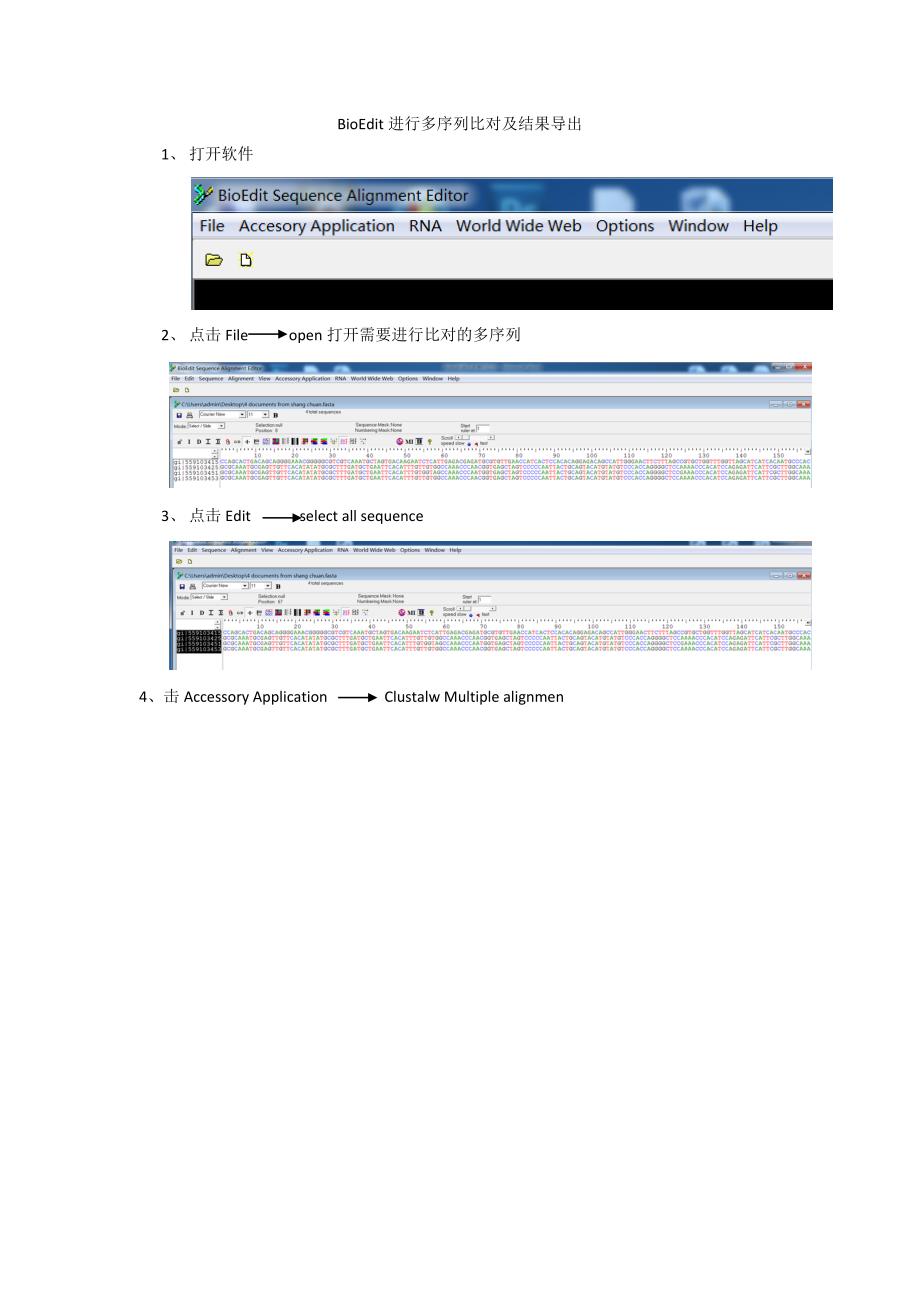 BioEdit多序列比对及结果导出.docx_第1页