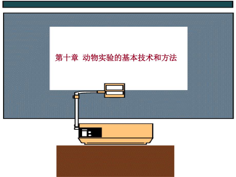 第十章动物实验的基本技术和方法_第1页