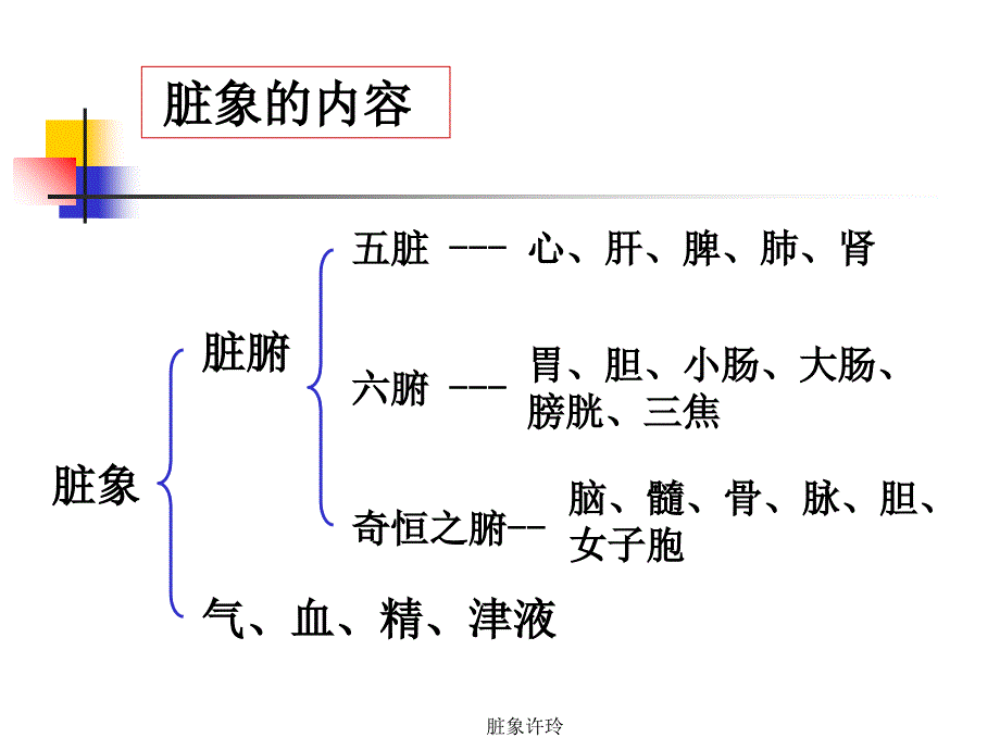 脏象许玲课件_第4页