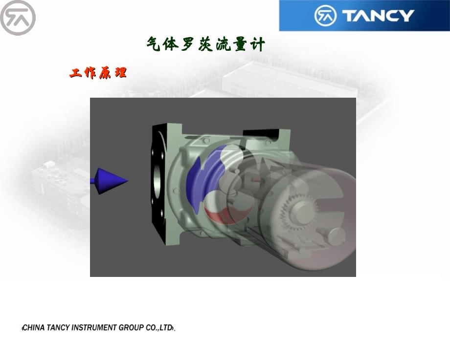 气体罗茨流量计_第3页