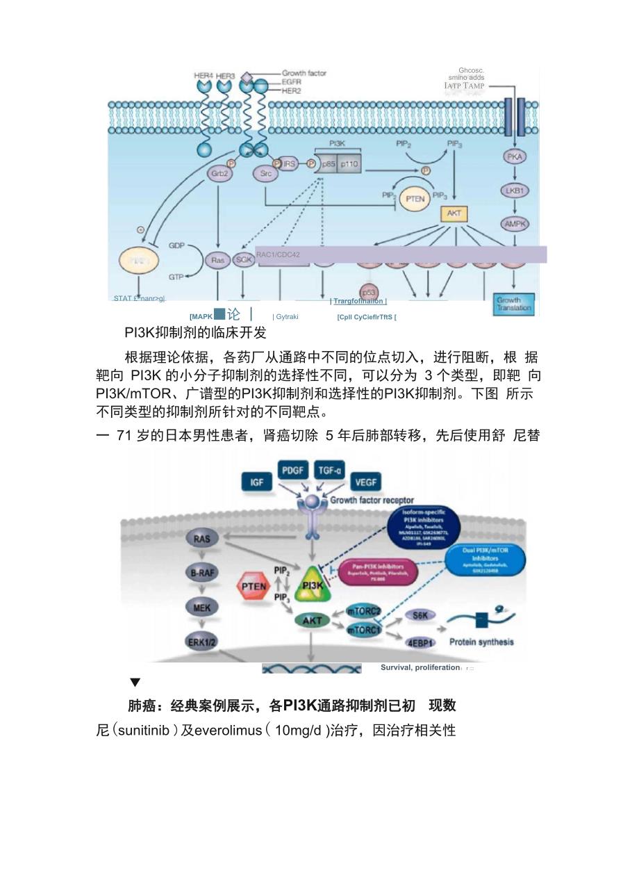 横扫六大癌种PI3K抑制剂开启“异病同治”精准治疗时代_第2页