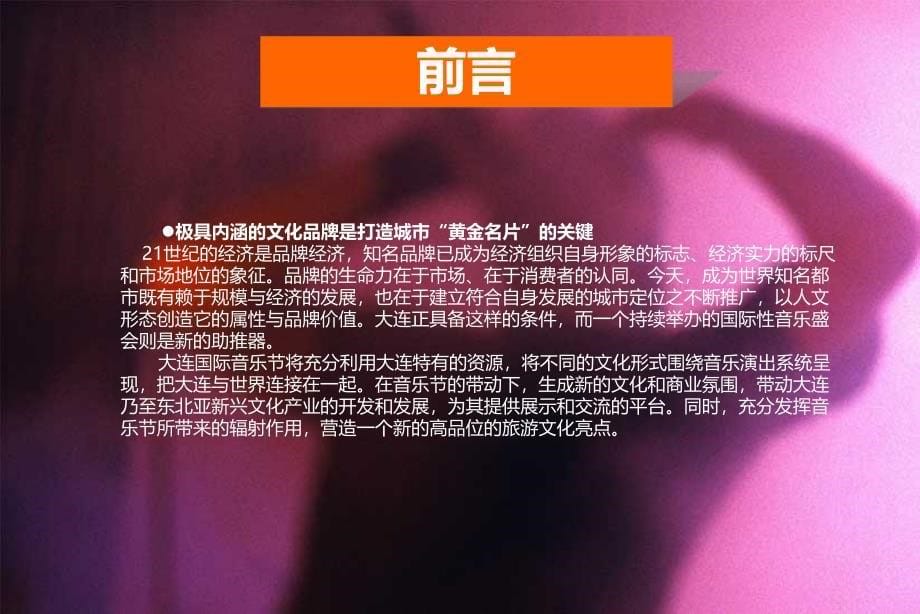 大连国际音乐节基础方案_第5页