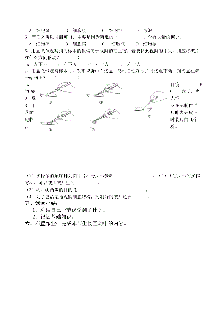 212观察植物细胞_第3页