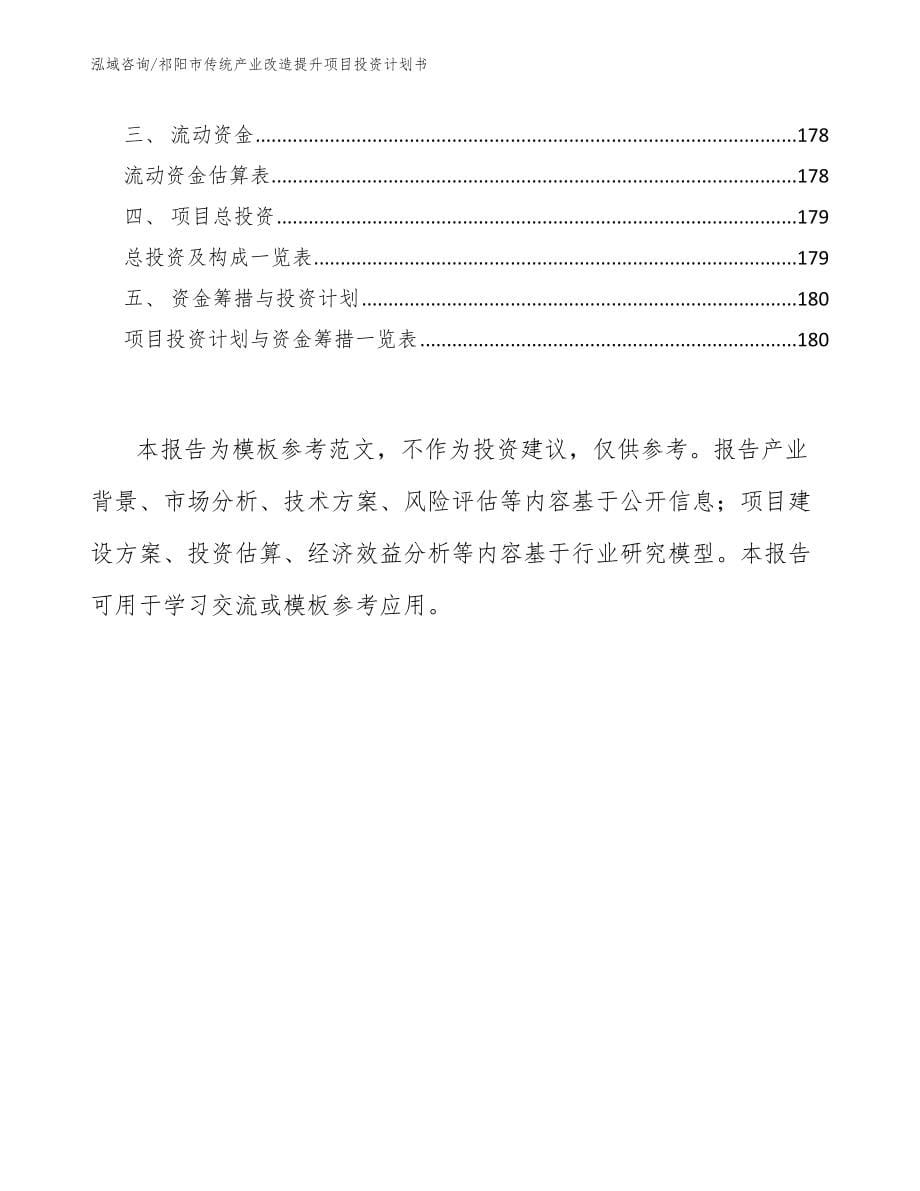 祁阳市传统产业改造提升项目投资计划书（模板参考）_第5页