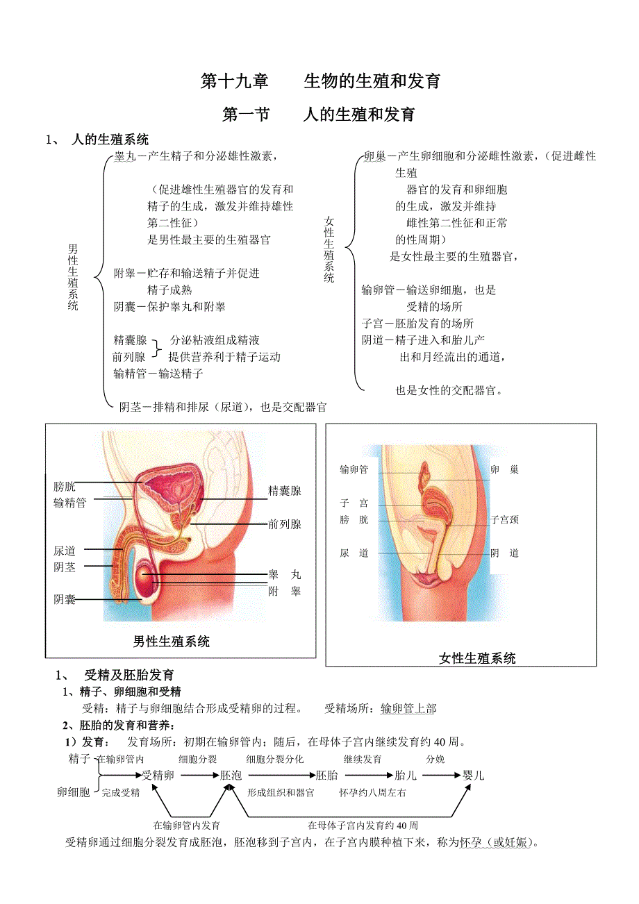 北师大版八年级生物上册复习提纲及概念图2_第1页